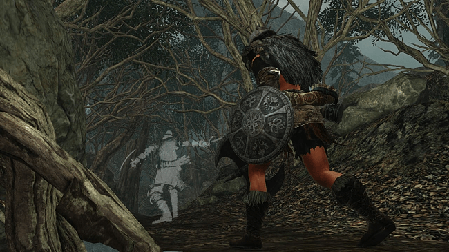 how-to-play-dark-souls-ii